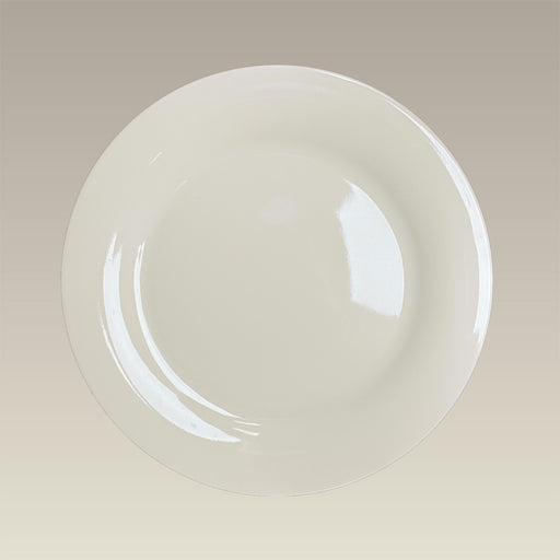 10.75" Warm White Transition Dinner Plate SELECTED SECONDS