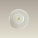 6.12" Warm White Transition Rim B&B Plate SELECTED SECONDS